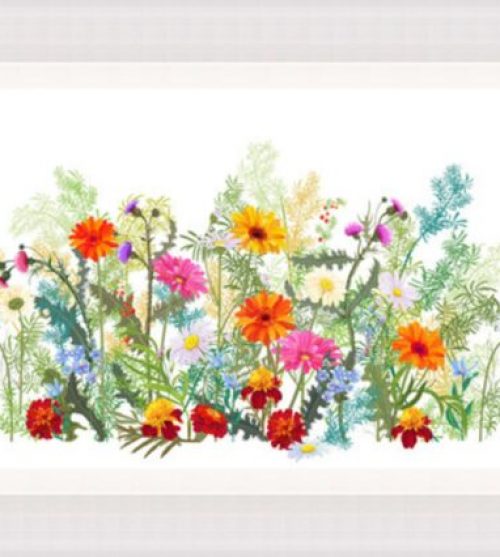 Autumn Flowers