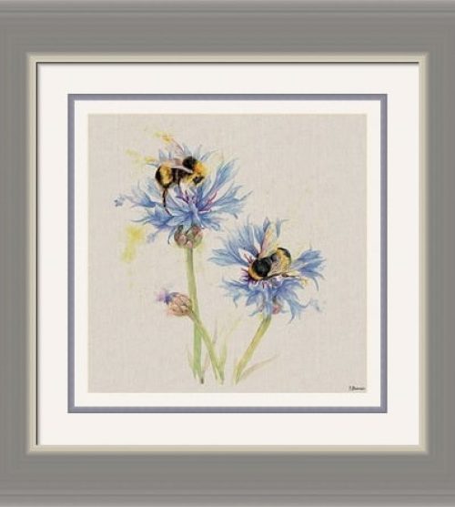 Bees on Cornflowers