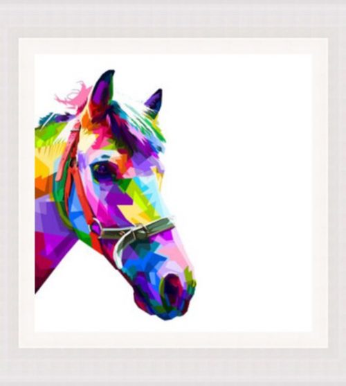 Colourful Horse