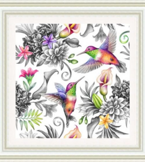 Colourful Humming Birds