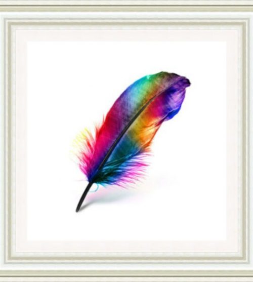 Colourful Feather