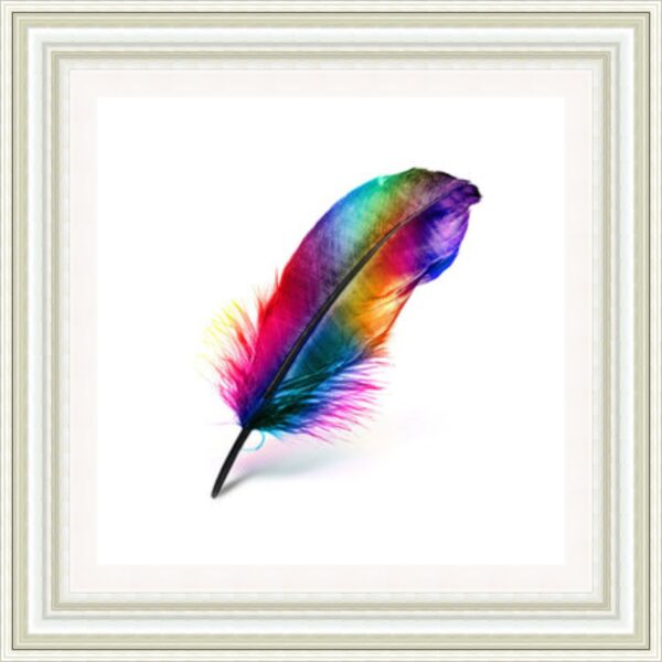 Colourful Feather