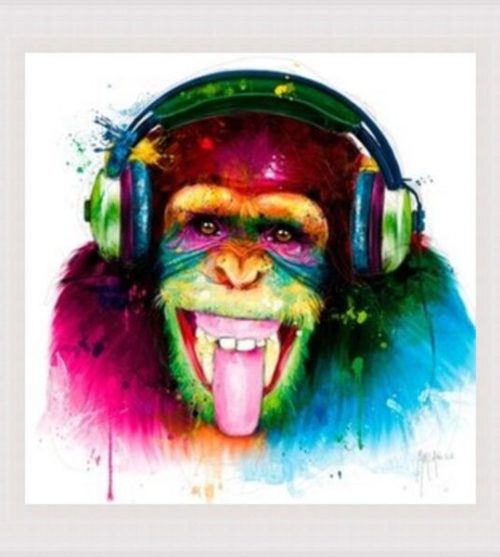 DJ Monkey