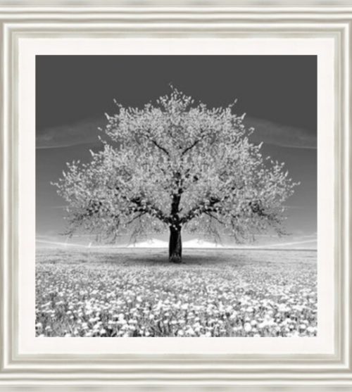 Grey Blossom Tree (Square)