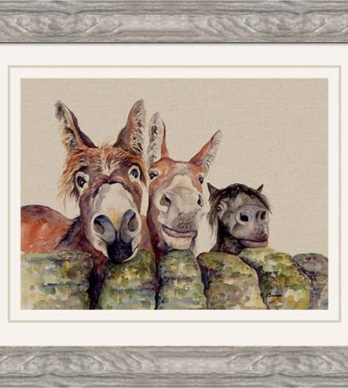 Johnny, Freckles & Halfpint