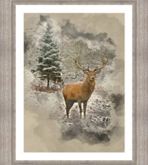 Watercolour Red Deer Stag on Canvas Effect