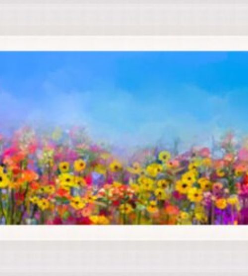 Colourful Field of Flowers with Blue Sky