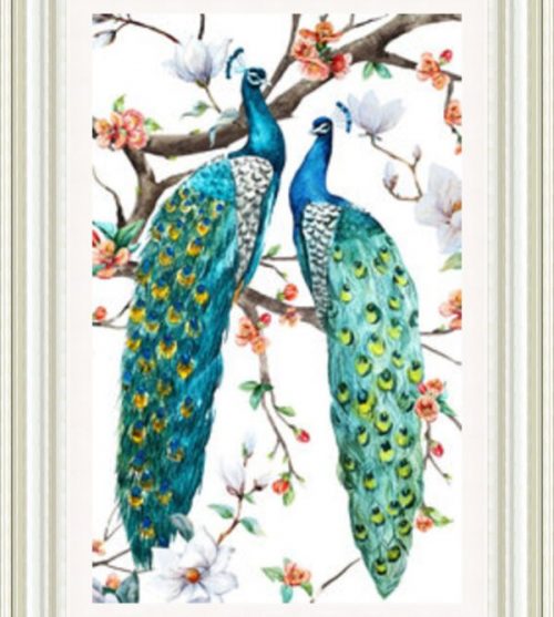 Paradise Birds