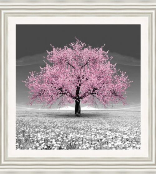 Pink Blossom Tree (Square)
