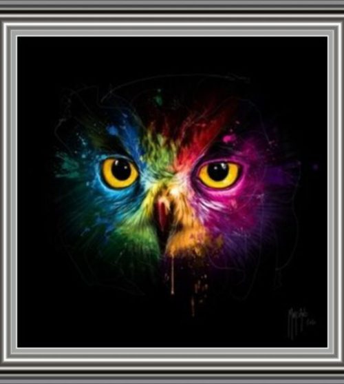 Pop Owl