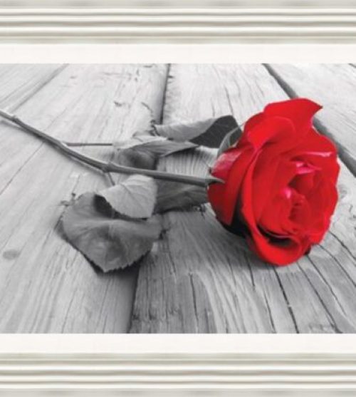 Red Rose with Wooden Background