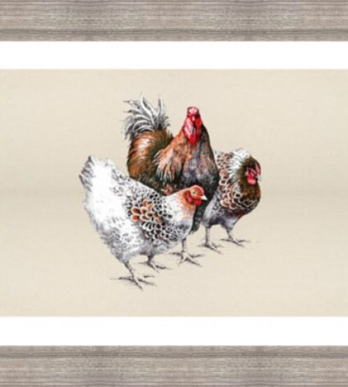Rooster and Hens on Canvas Effect