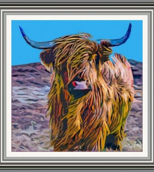 Scottish Highland Cow