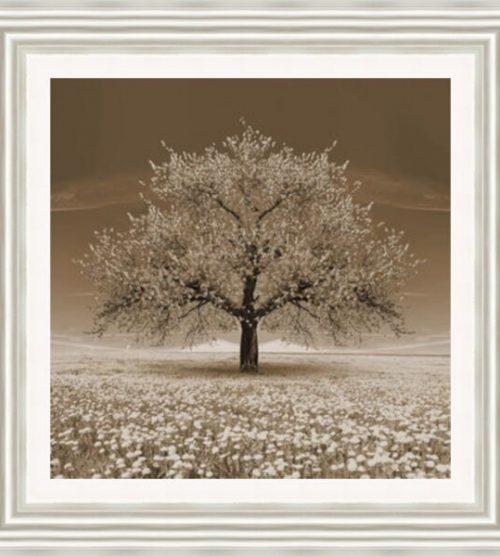 Sepia Blossom Tree (Square)