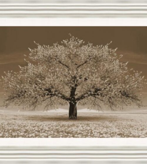 Sepia Blossom Tree (Rectangle)