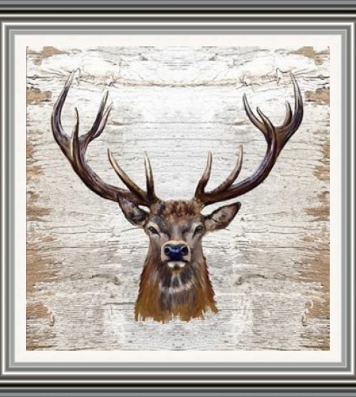 Stag Head on Wood