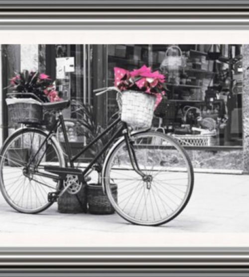 Vintage Bicycle with Flowers (Pink)