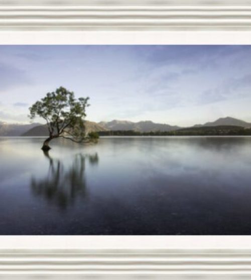Wanaka Tree