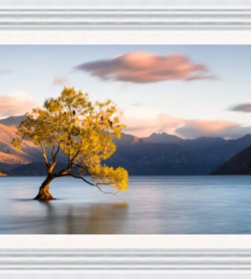 Wanaka Tree Yellow