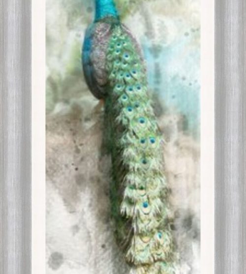 Watercolour Peacock 2