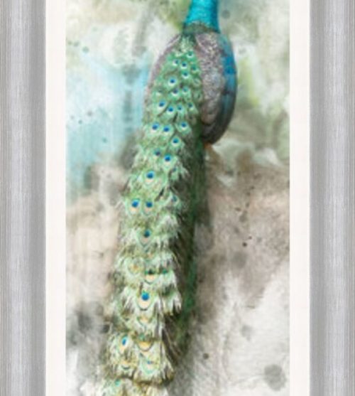 Watercolour Peacock 1