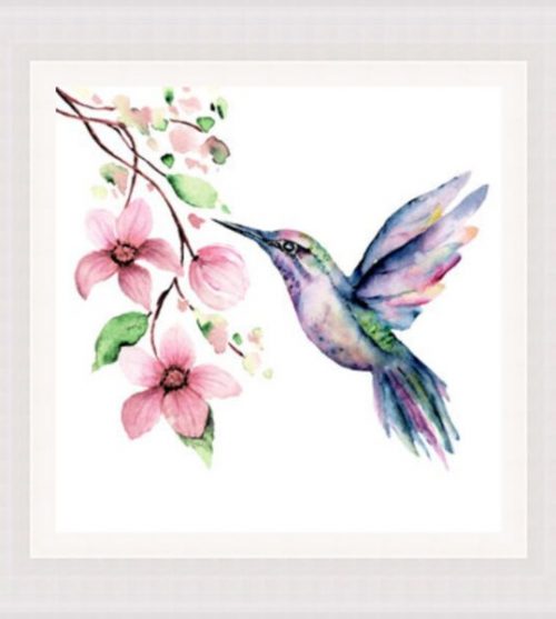 Watercolour Humming Bird