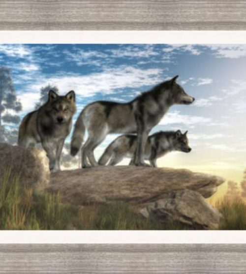 Wolves looking over the Wilderness