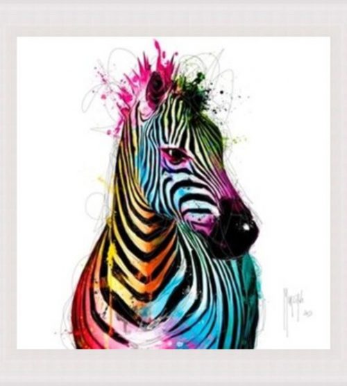 Zebra Pop
