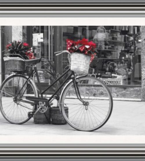 Vintage Bicycle with Flowers (Red)